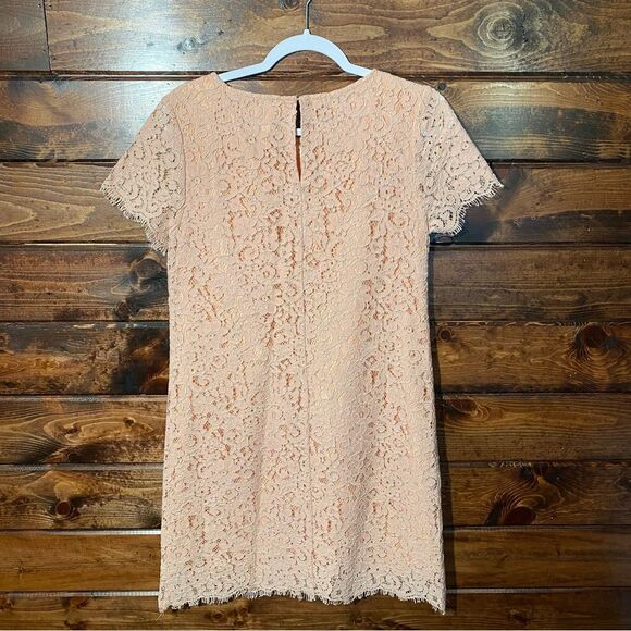 C Pink Girly Girl Sweet Lace Sheath Cocktail Mini Dress Women's Size Small - Picture 4 of 15